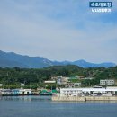 속초 대포항 낚시 포인트 진실 초보자 리얼 후기