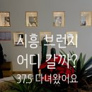 37.5브런치안녕점 | 시흥 장곡동에서 브런치 카페 찾는다면? 조용하고 분위기 좋은 '37.5 ' 다녀온 내돈내산후기