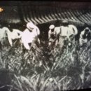 안원규농장 이미지