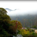 로그캐빈다래 이미지