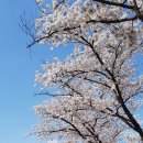 근화여자고등학교 이미지