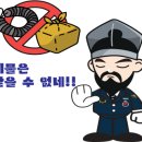 에이바우트제대