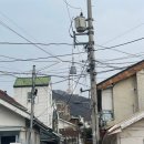 가브리엘 | [1월 봉사활동 후기] 가브리엘의 집 방문 봉사 | 지지봉사단