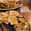 지금조개 이미지