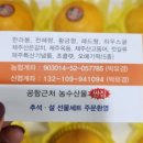 제주특산농수산물