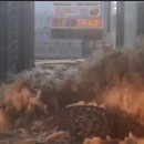 곡성-196 이미지