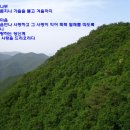 푸른나무 이미지