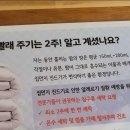 전문가들이 권장하는 이불 빨래 주기 이미지