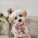 멍뜰리에 이미지