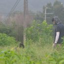 소야농장 이미지