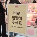 인형나라 | <용산> 치이카와 샵 2탄! 위시리스트 대공개! 행운을 부르는 가르마 인형 S사이즈 실물 후기 💸