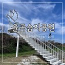율곡길 | 율곡습지공원, 파주 평화누리길 가볼만한 곳(강아지 산책하기 좋은 곳)
