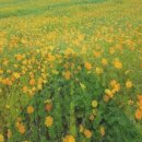 화성슈퍼 이미지