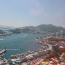 오동도매점