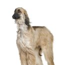 제일농장1 이미지