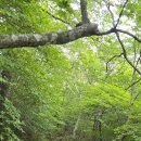 내면의 평온을 찾는 명상 이미지