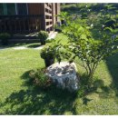 우경농장 이미지