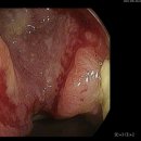 신길연세365의원 이미지