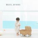 행복한블루베리 이미지
