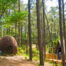 공주하숙마을2 이미지