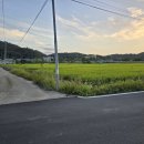 영천공인중개사사무소 이미지