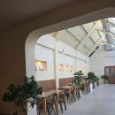 올데이 파스타 | 원주 브런치카페 올데이파티 :: 파스타 피자 내돈내산 후기