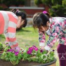 월전초등학교 이미지