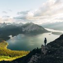 진흥카써비스 이미지