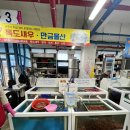 독도회식당 | 울릉도 횟집 오징어 회 타운 독도새우 오징어 회 포장 후기!