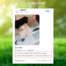 한결같은 동물병원 | 금천구동물병원, 왕복2시간 걸려 독산동에서 누리에뜰에 내원하는 이유