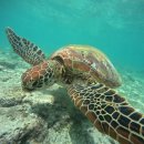 거북호텔 이미지