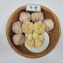 기찬기술