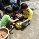 [08.18] 토마토와 호박 따기, 영어캠프 발표회 이미지