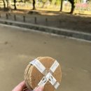오사카 여행기 3,4일차(나라공원(사슴공원),아부라소바,이치란라멘)