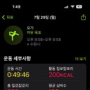 숲플라잉요가