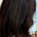 강남종합동물병원 미용실 | 머리 고민 끝! 강남역미용실, 인생 머리 찾은 후기예요