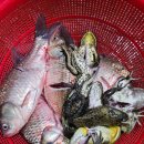 민물건강원 이미지