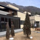 디토키즈풀빌라 | 양평키즈펜션 디토키즈풀빌라 B동 내돈내산 솔직후기