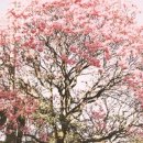 문정근린공원 이미지