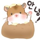 VIP 안경원 이미지