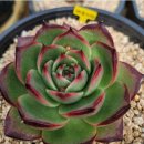 좋은 <b>하루</b> 되세요