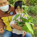 리라숲어린이집 이미지