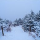 삼가-21 이미지