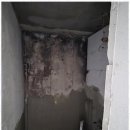 대성장식 이미지