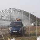 햇살농장2 이미지