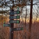 남산숲어린이집 이미지