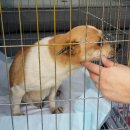 마리농장 이미지