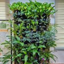 청양읍행정복지센터 이미지