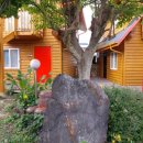 물댄동산 통나무펜션 이미지