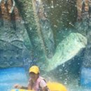 매월건강사우나 이미지